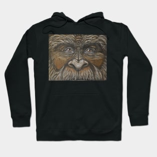 Banjdo the Rock Mover Hoodie